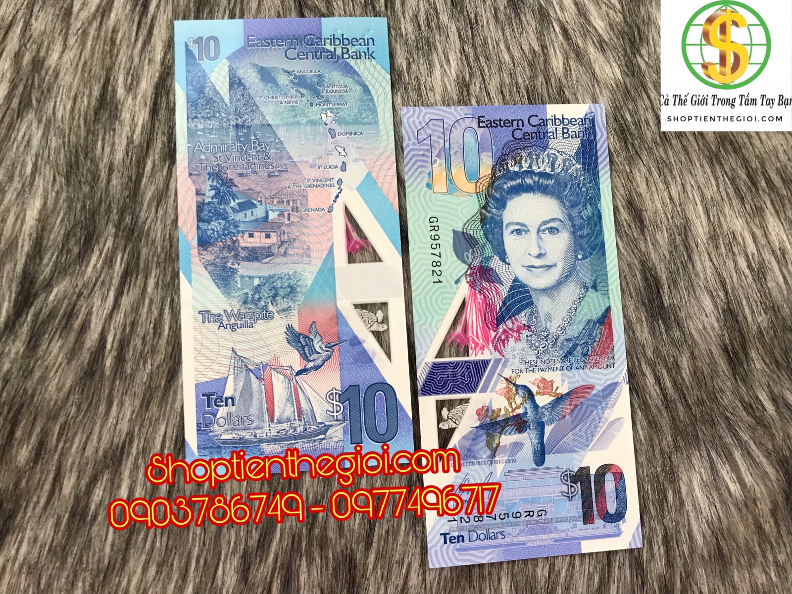 Caribe 10 búp bê đông caribean